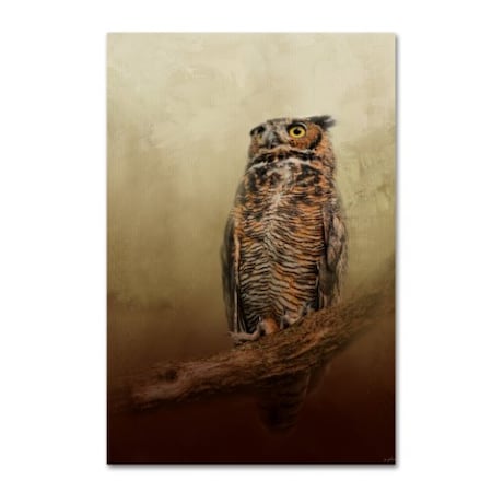 Jai Johnson 'Great Horned Owl At Shiloh' Canvas Art,12x19